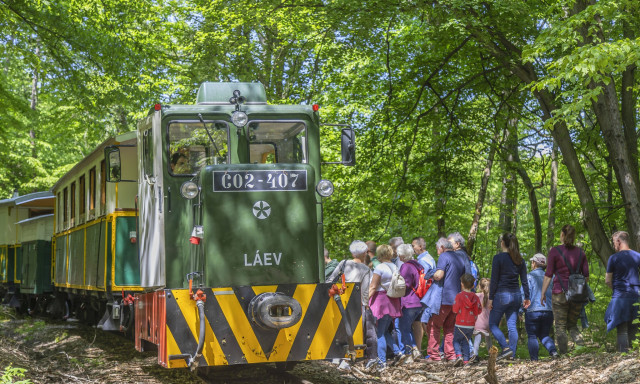 A vil&aacute;g legjobb turisztikai projektje lett a miskolci &bdquo;Ehető Erdő&rdquo; &eacute;lm&eacute;nyprogram
