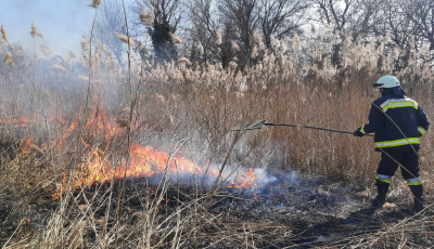 H&eacute;tfőn huszonh&eacute;tszer volt sz&uuml;ks&eacute;g a borsodi tűzolt&oacute;kra a l&aacute;ngol&oacute; n&ouml;v&eacute;nyzet miatt
