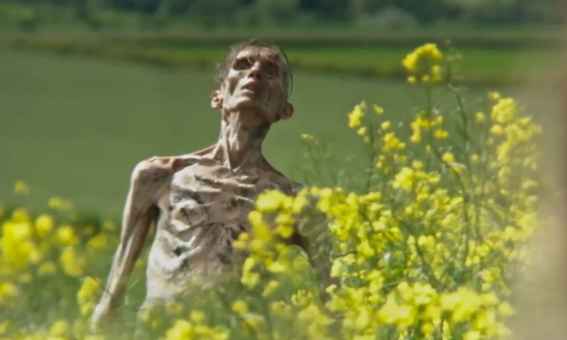 J&ouml;n a ny&aacute;r egyik legjobban v&aacute;rt horror filmje