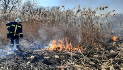 T&ouml;bb hekt&aacute;ron &eacute;gett az aljn&ouml;v&eacute;nyzet kedden Borsodban