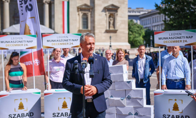 Nem lesz n&eacute;pszavaz&aacute;s a december 24-i munkanapr&oacute;l