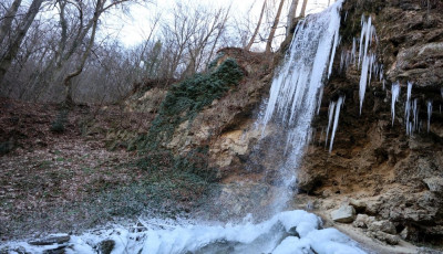 J&eacute;gbe fagyott Lillaf&uuml;red ikonikus v&iacute;zes&eacute;se