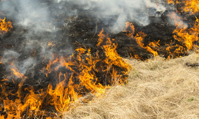 Tegnap tizenhatszor avatkoztak be a hivat&aacute;sos tűzolt&oacute;k Borsod-Aba&uacute;j-Zempl&eacute;n megy&eacute;ben
