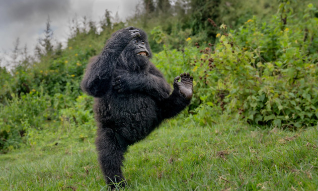 Kihirdett&eacute;k 2025 legviccesebb term&eacute;szetfot&oacute;it