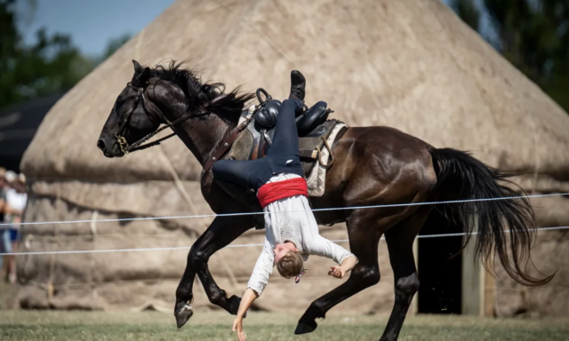 Hungarikum lett a magyar nyereg &eacute;s a Pető-m&oacute;dszer