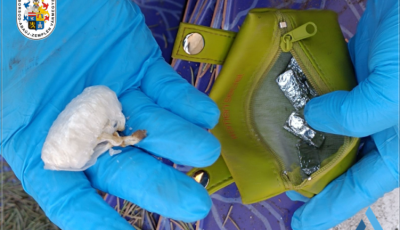 Elfogtak egy 65 &eacute;ves s&aacute;toralja&uacute;jhelyi d&iacute;lert