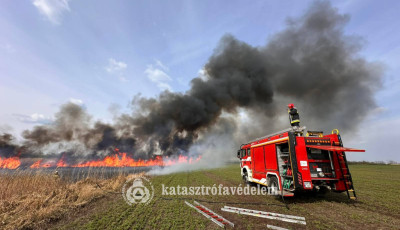 Szabadt&eacute;ri t&uuml;zek adtak munk&aacute;t a tűzolt&oacute;knak