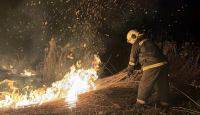 L&aacute;ngol&oacute; n&ouml;v&eacute;nyzet miatt riasztott&aacute;k a tűzolt&oacute;kat