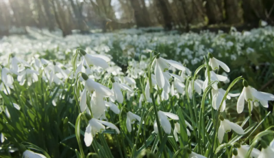 Ildikó ma megmutatja, milyen időjárás várhat ránk a következő hetekben