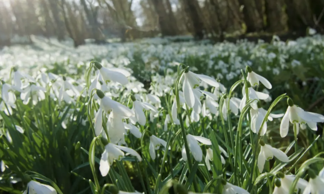 Ildik&oacute; ma megmutatja, milyen időj&aacute;r&aacute;s v&aacute;rhat r&aacute;nk a k&ouml;vetkező hetekben