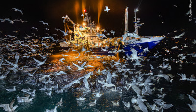 Ezek lettek 2025 legjobb term&eacute;szetfot&oacute;i