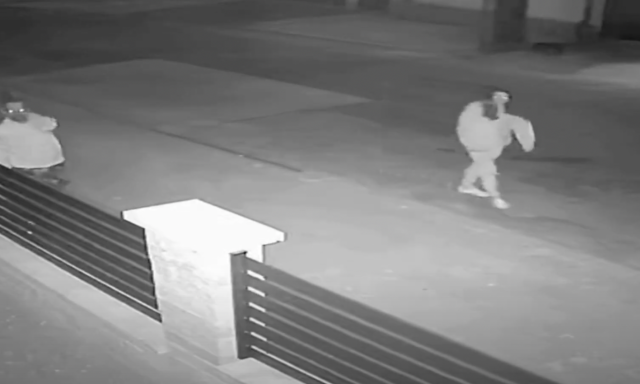 Elvittek egy kőoroszl&aacute;nt, most keresi őket a rendőrs&eacute;g