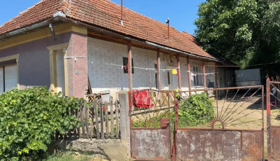 M&eacute;gsem k&ouml;lt&ouml;ztek vissza Kass&aacute;ra a Szalonn&aacute;ra ker&uuml;lt cig&aacute;ny csal&aacute;dok
