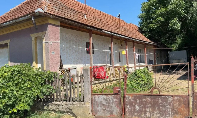 M&eacute;gsem k&ouml;lt&ouml;ztek vissza Kass&aacute;ra a Szalonn&aacute;ra ker&uuml;lt cig&aacute;ny csal&aacute;dok
