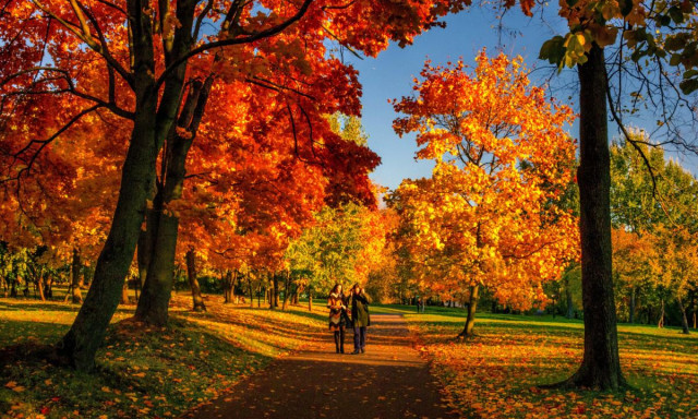 20 fokkal b&uacute;cs&uacute;zik az okt&oacute;ber