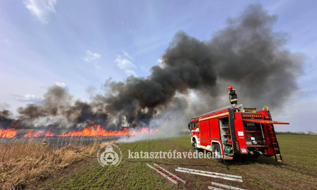 Sz&aacute;raz fű, boz&oacute;t &eacute;s n&aacute;das is &eacute;gett