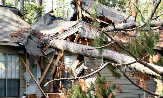 Tombolt a vihar Borsodban - Felt&eacute;pte egy iskola tetőszerkezet&eacute;t &eacute;s h&aacute;zra is dőlt fa