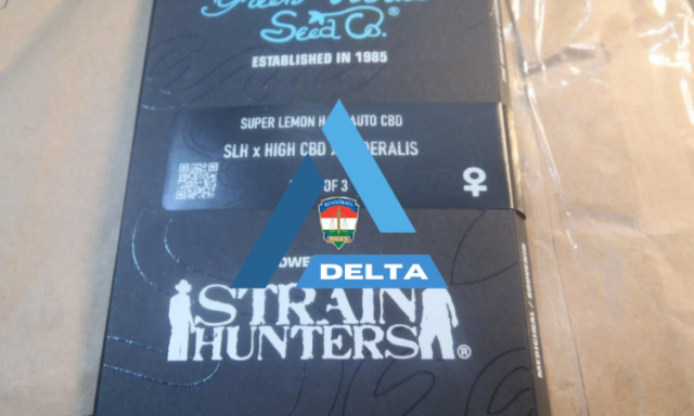 Hollandi&aacute;b&oacute;l rendelt cannabismagokat a felsőzsolcai f&eacute;rfi