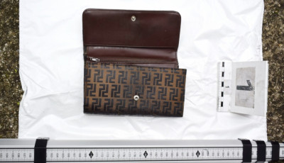 Seg&iacute;ts&eacute;get aj&aacute;nlott, azt&aacute;n kifosztotta a j&aacute;r&oacute;keretes n&eacute;nit