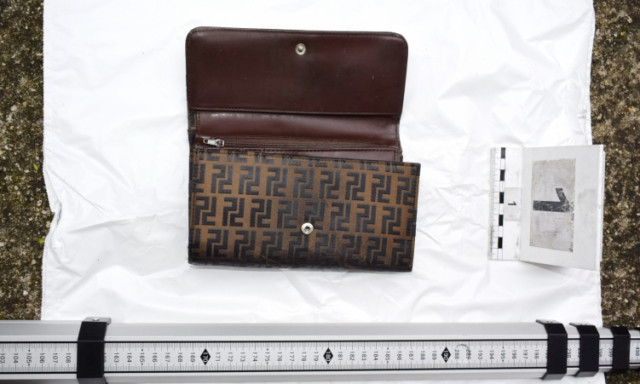 Seg&iacute;ts&eacute;get aj&aacute;nlott, azt&aacute;n kifosztotta a j&aacute;r&oacute;keretes n&eacute;nit