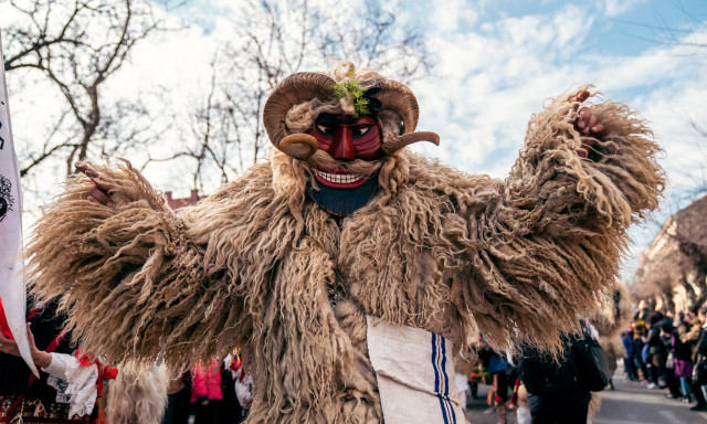 Amikor a t&eacute;l megijed &eacute;s elszalad, avagy a moh&aacute;csi bus&oacute;j&aacute;r&aacute;s &uuml;zenete