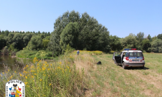 Kihaj&iacute;totta a beteg kuty&aacute;j&aacute;t a Hern&aacute;d foly&oacute;n&aacute;l a 16 &eacute;ves fi&uacute; - d&ouml;bbenetes magyar&aacute;zatot adott tett&eacute;re