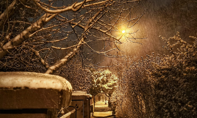 E.ON: Ker&uuml;lj&uuml;k a mos&oacute;g&eacute;p &eacute;s mosogat&oacute;g&eacute;p &eacute;jszakai haszn&aacute;lat&aacute;t &eacute;s a termoszt&aacute;t gyakori &aacute;ll&iacute;tgat&aacute;s&aacute;t